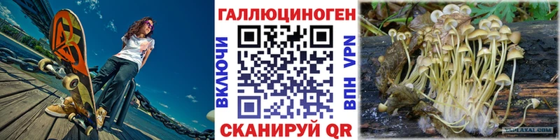 продажа наркотиков  Черногорск  Псилоцибиновые грибы прущие грибы 