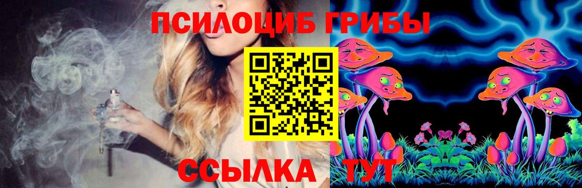 Псилоцибиновые грибы MAGIC MUSHROOMS  закладки  Черногорск  Вход с VPN 
