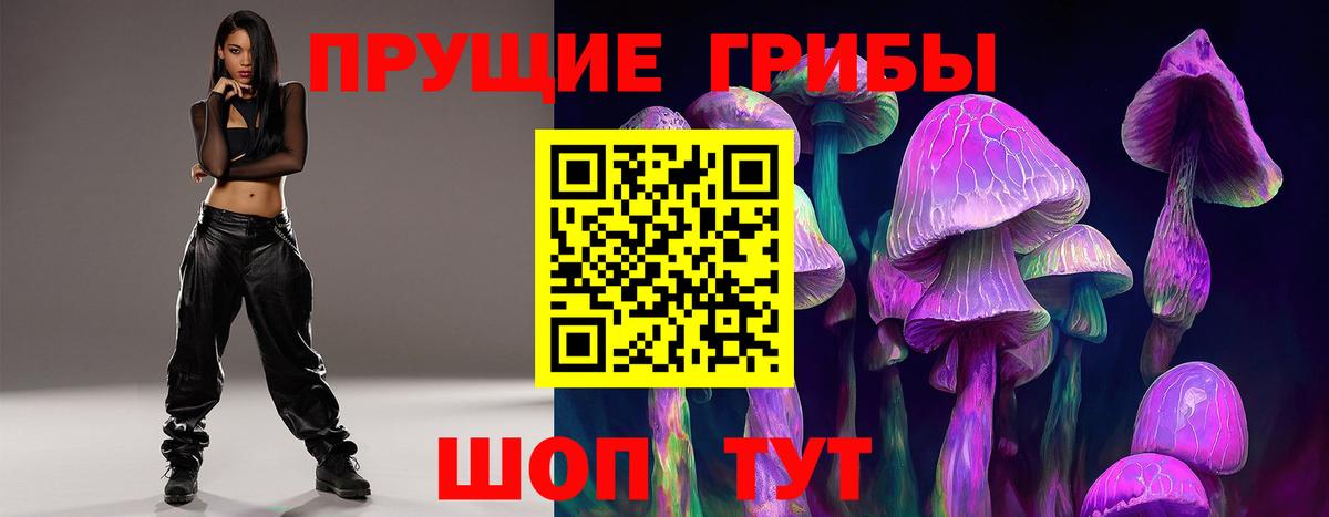Галлюциногенные грибы Psilocybe Черногорск